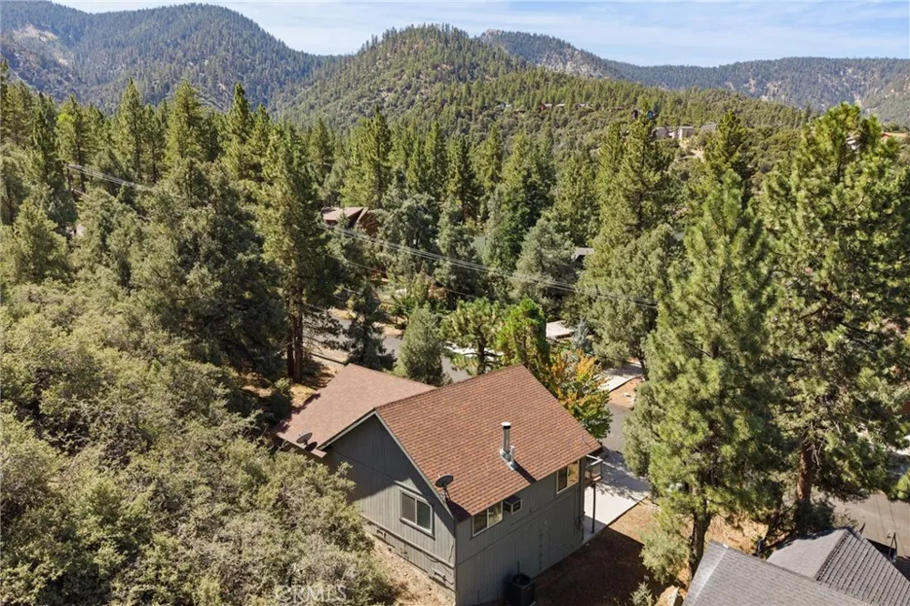 1928 Woodland Drive Pine Mountain Club, CA 93222