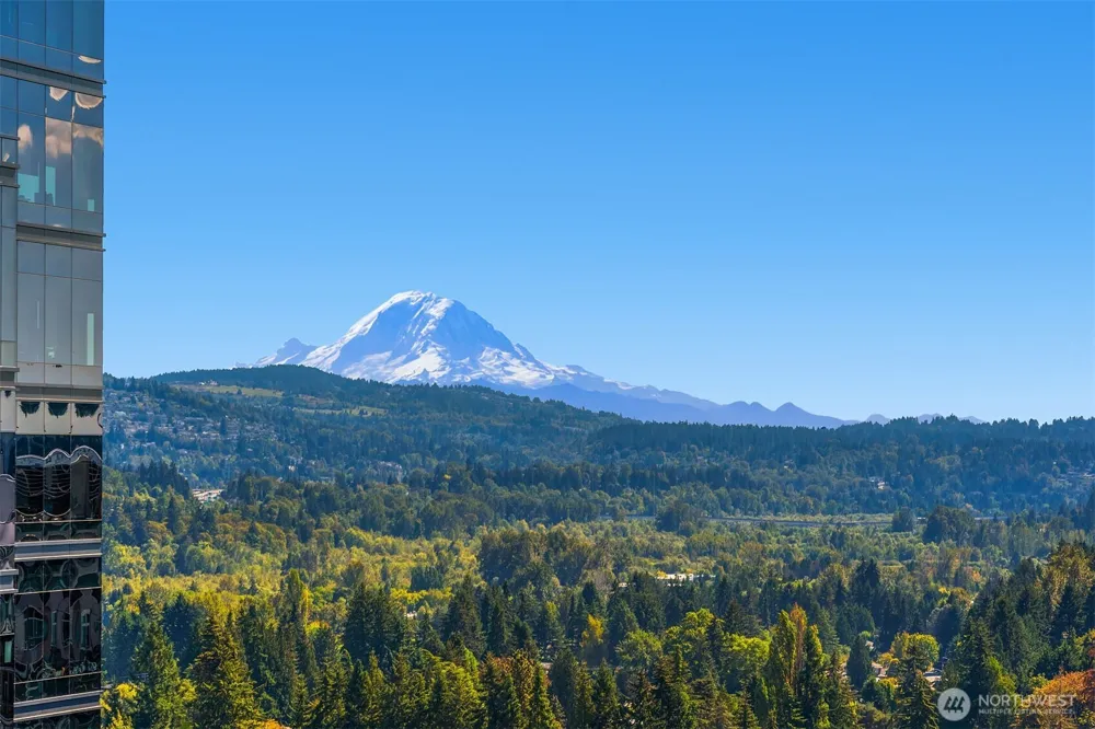 10700 NE 4th Street #2214 Bellevue, WA 98004