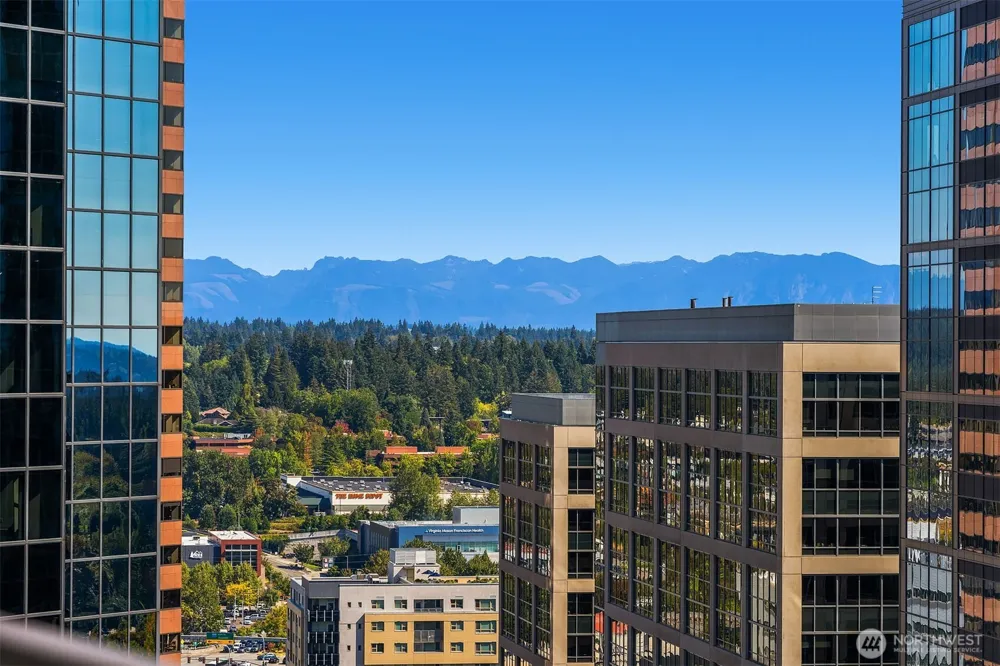 10700 NE 4th Street #2214 Bellevue, WA 98004