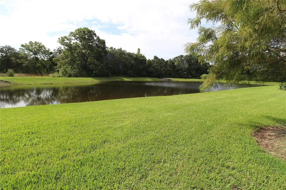 2922 GRAND KEMERTON PLACE Tampa, FL 33618