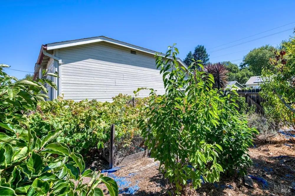 25 Redding Way San Rafael, CA 94901