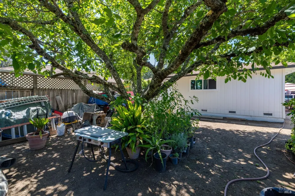 18811 Park Tree Lane El Verano, CA 95476