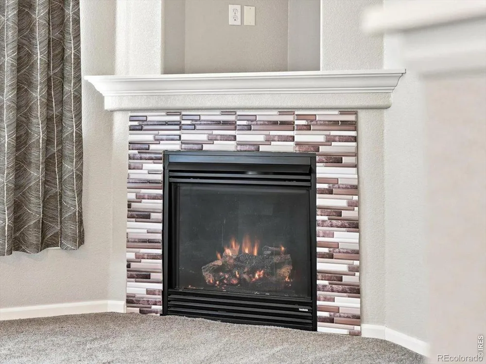 1977 Grays Peak Drive #201 Loveland, CO 80538