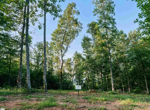 200 Chestnut Mountain Road #Lot 7
