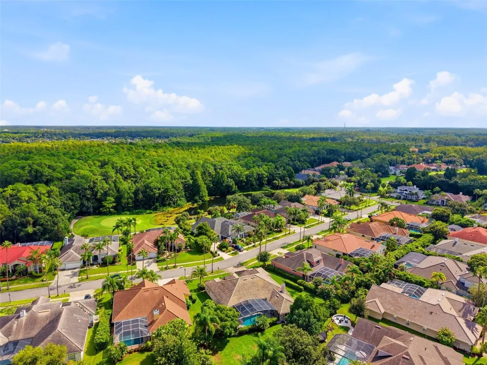 12012 BREWSTER DRIVE Tampa, FL 33626