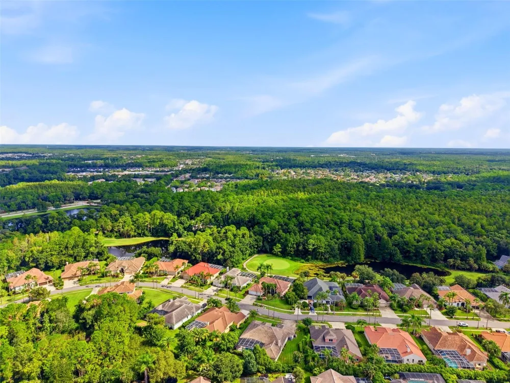 12012 BREWSTER DRIVE Tampa, FL 33626