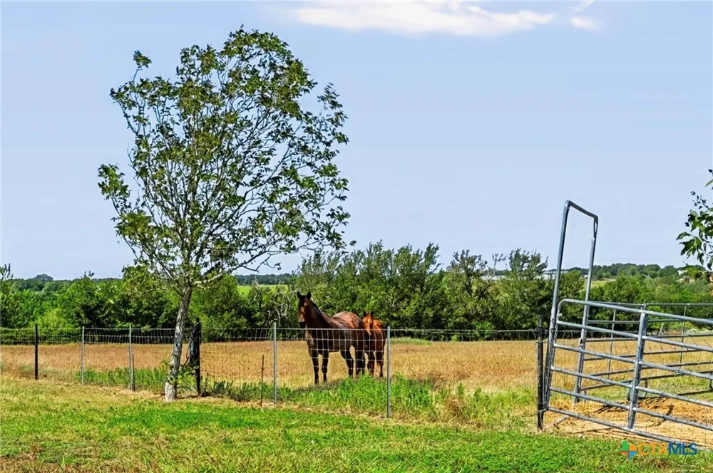 4800 Petter Rainosek Loop La Grange, TX 78945