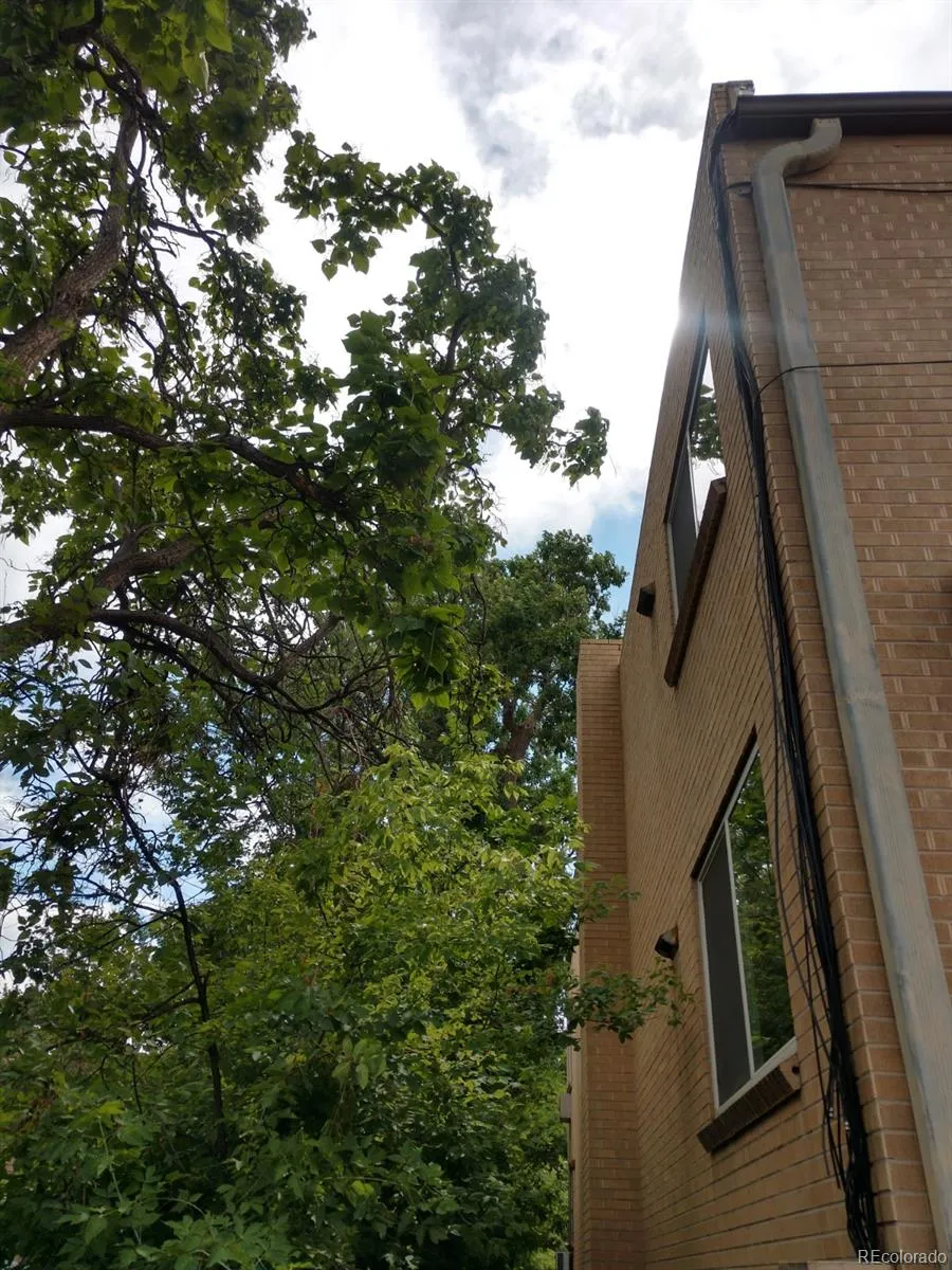 1151 Marion Street #303 Denver, CO 80218