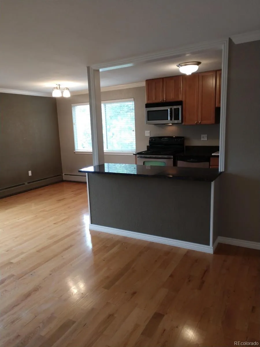1151 Marion Street #303 Denver, CO 80218