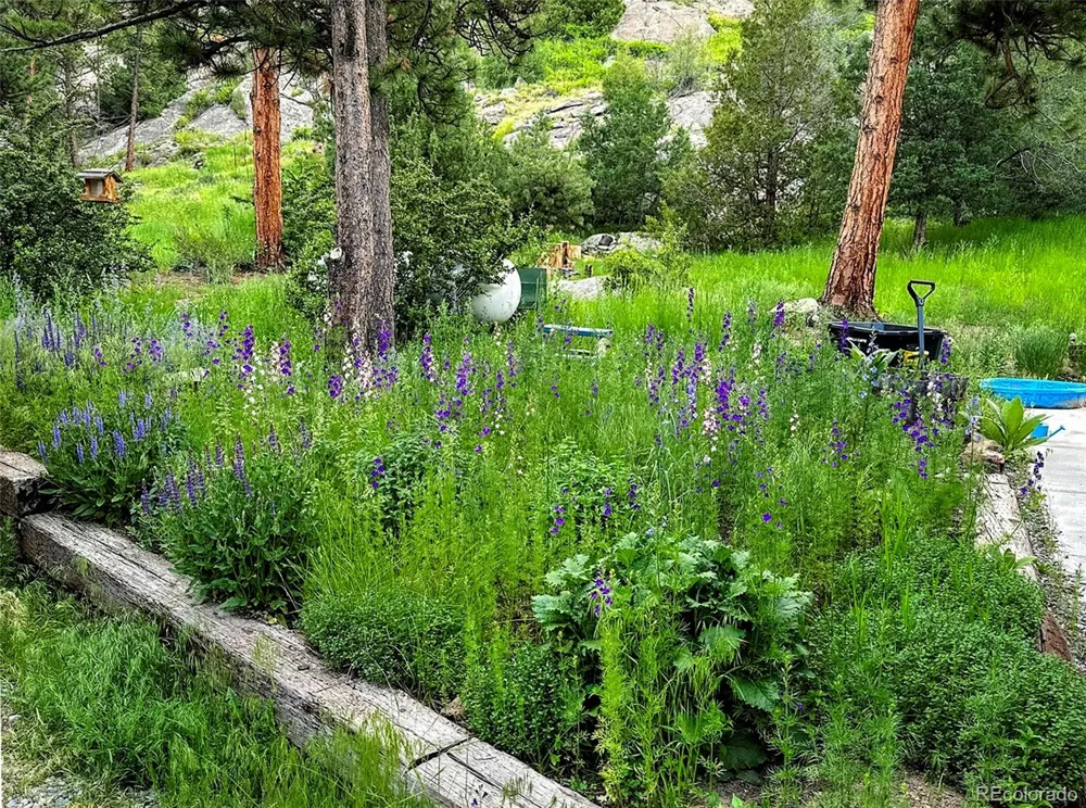5 Mohawk Road Lyons, CO 80540
