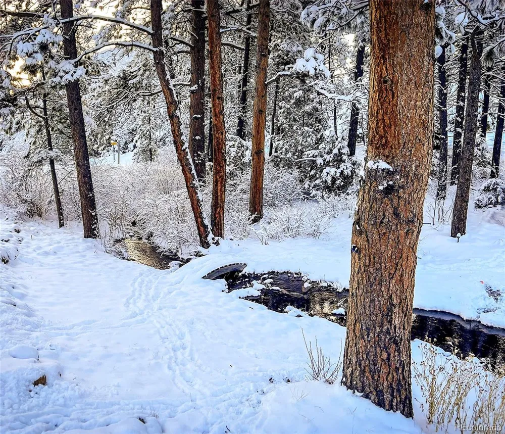 5 Mohawk Road Lyons, CO 80540
