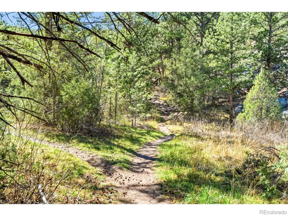 5 Mohawk Road Lyons, CO 80540