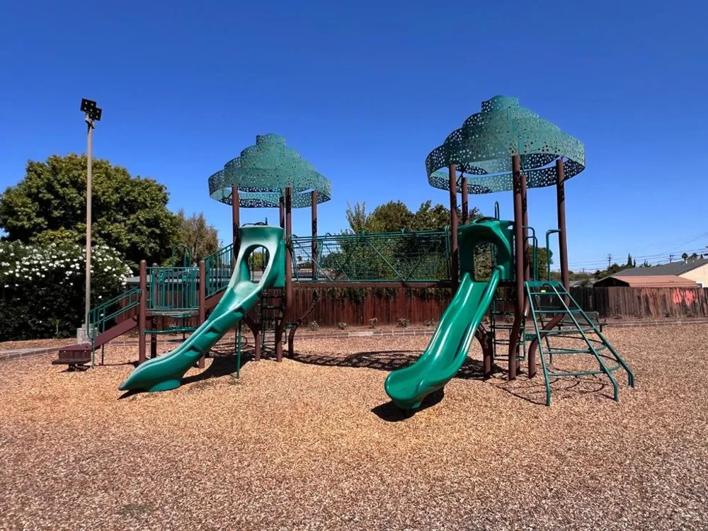 3165 Fitzpatrick Drive Concord, CA 94519