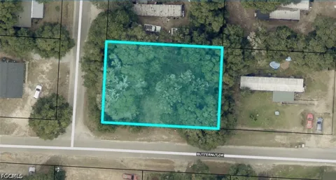 Butternut Drive
