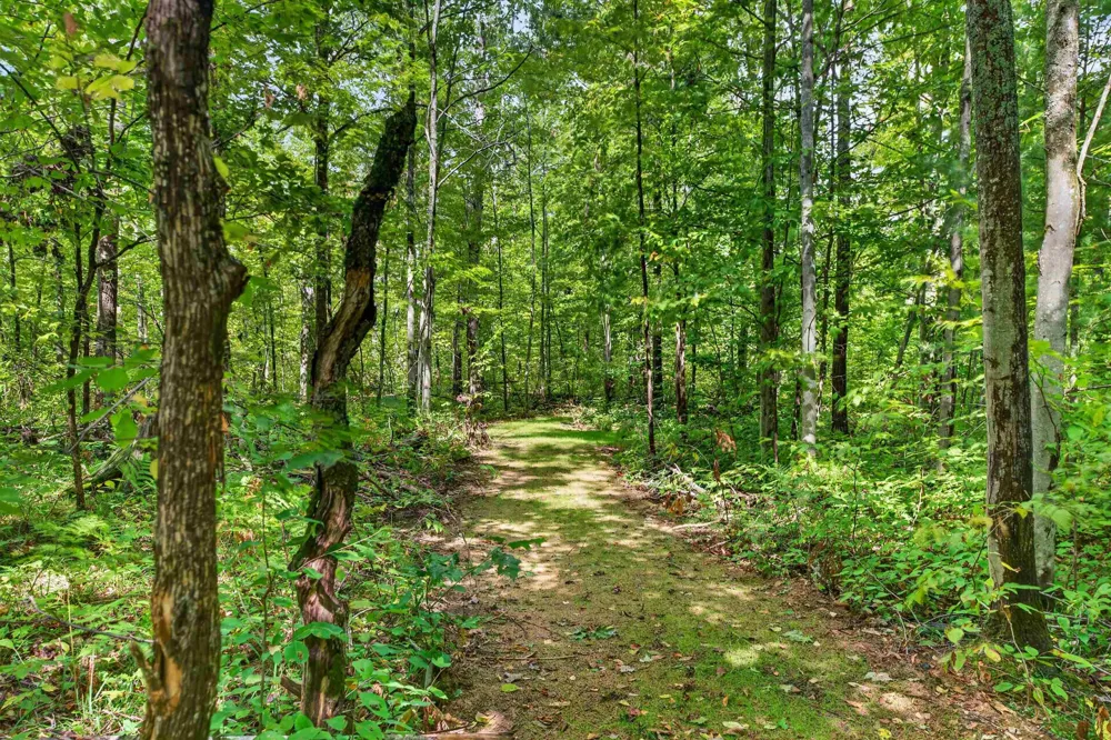 3509 North Point Drive Bagley Township, MI 49735