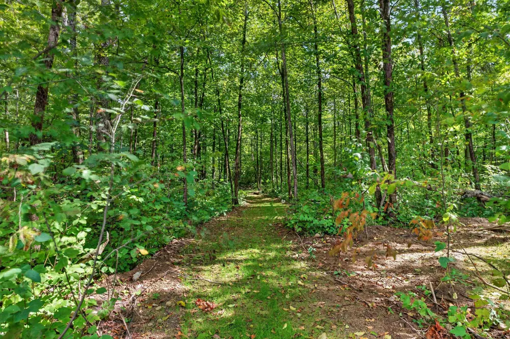 3509 North Point Drive Bagley Township, MI 49735