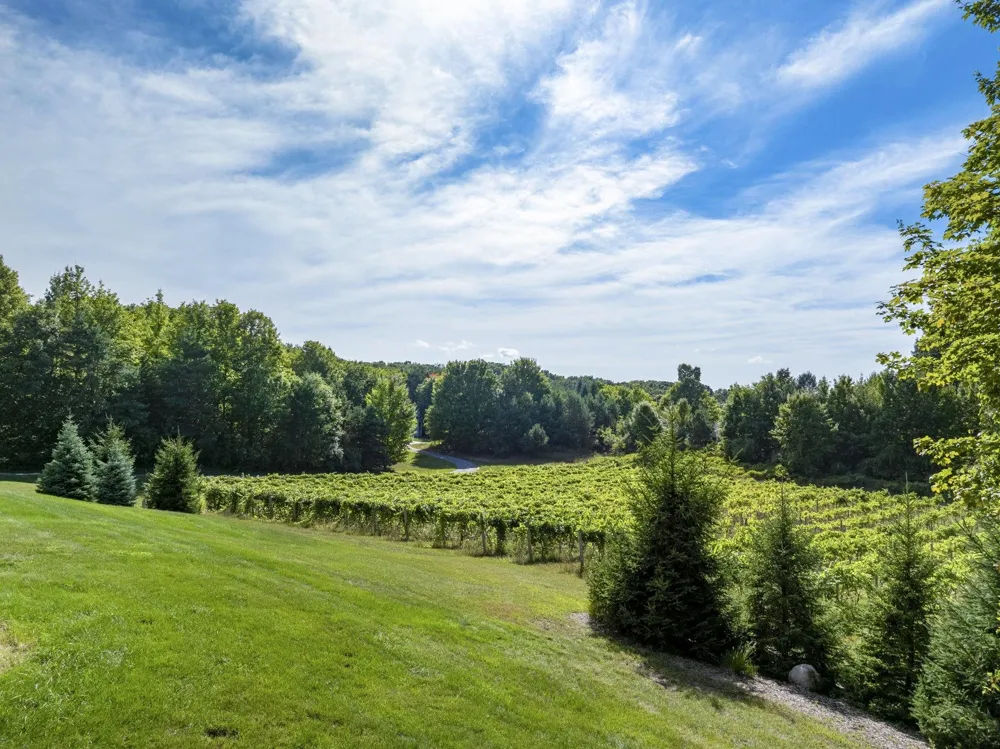 1375 Braebury Way Peninsula Township, MI 49686