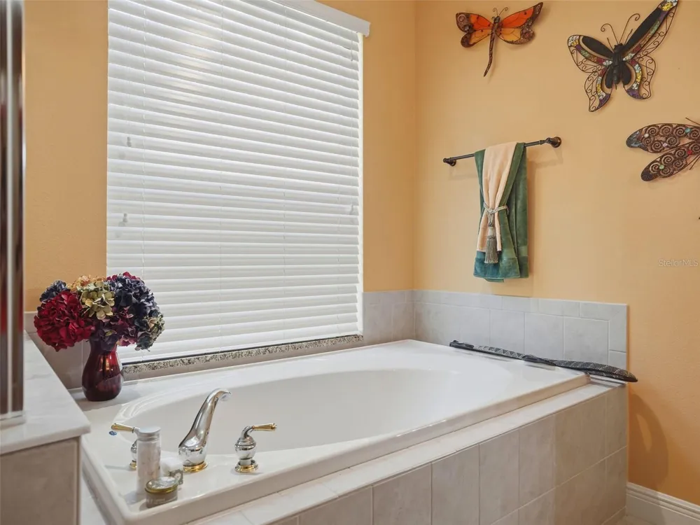 2707 LAKEBREEZE LANE S Clearwater, FL 33759