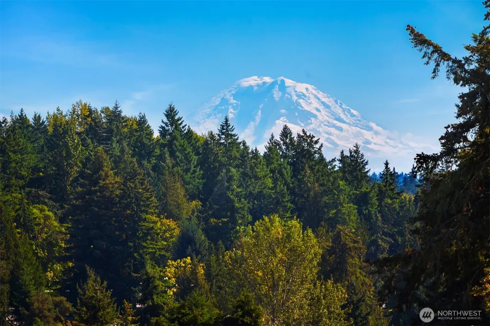 10042 Main Street #505 Bellevue, WA 98004
