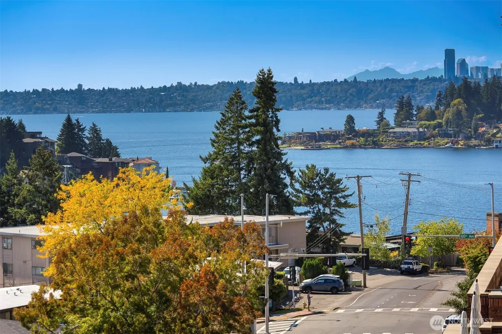 10042 Main Street #505 Bellevue, WA 98004