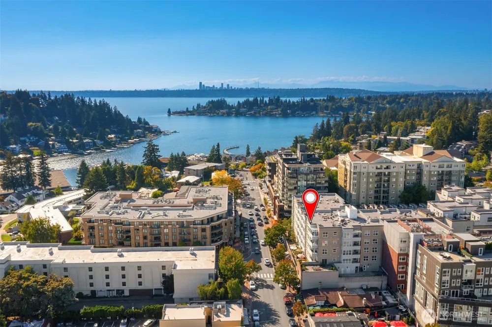 10042 Main Street #505 Bellevue, WA 98004