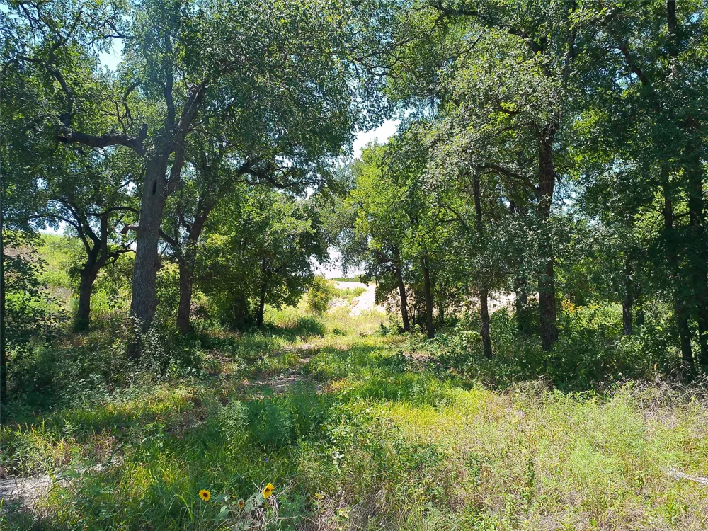 212 Serenity Drive Liberty Hill, TX 78642