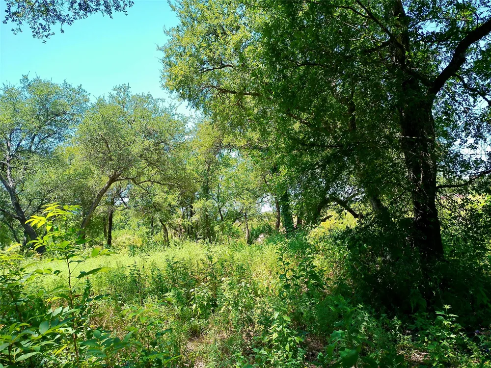 212 Serenity Drive Liberty Hill, TX 78642