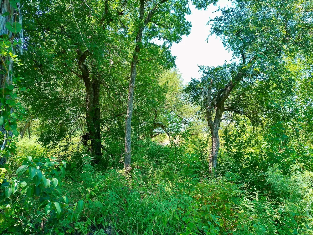 212 Serenity Drive Liberty Hill, TX 78642