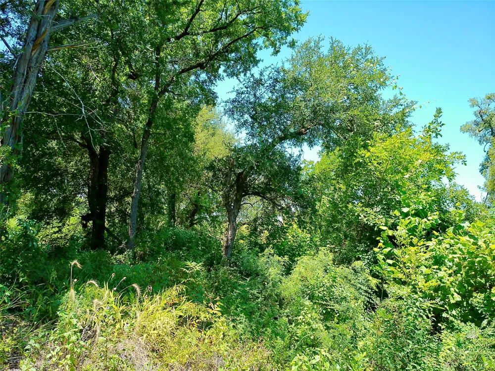 212 Serenity Drive Liberty Hill, TX 78642