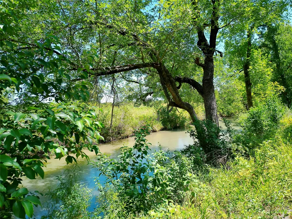 212 Serenity Drive Liberty Hill, TX 78642