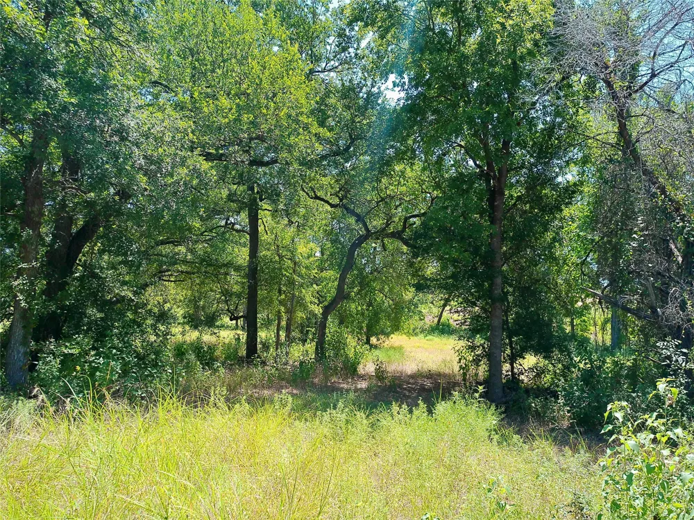 212 Serenity Drive Liberty Hill, TX 78642