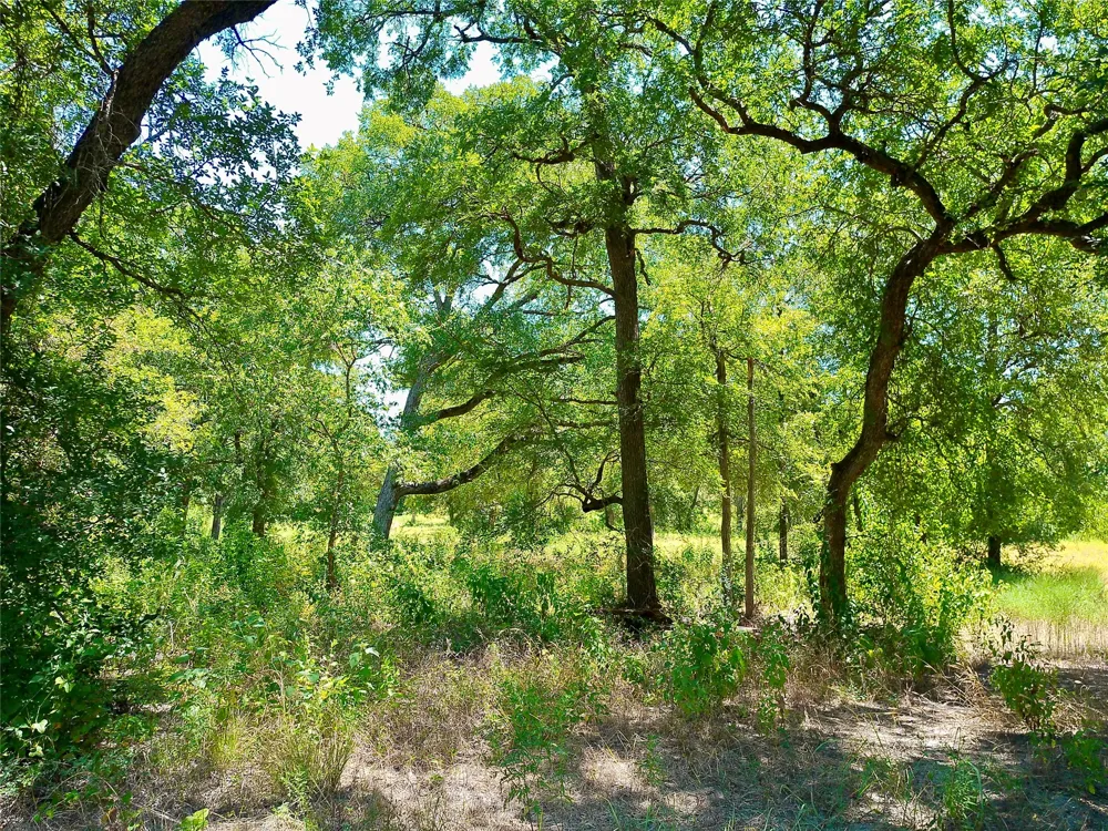 212 Serenity Drive Liberty Hill, TX 78642