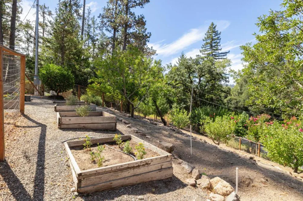304 Nelson Road Scotts Valley, CA 95066