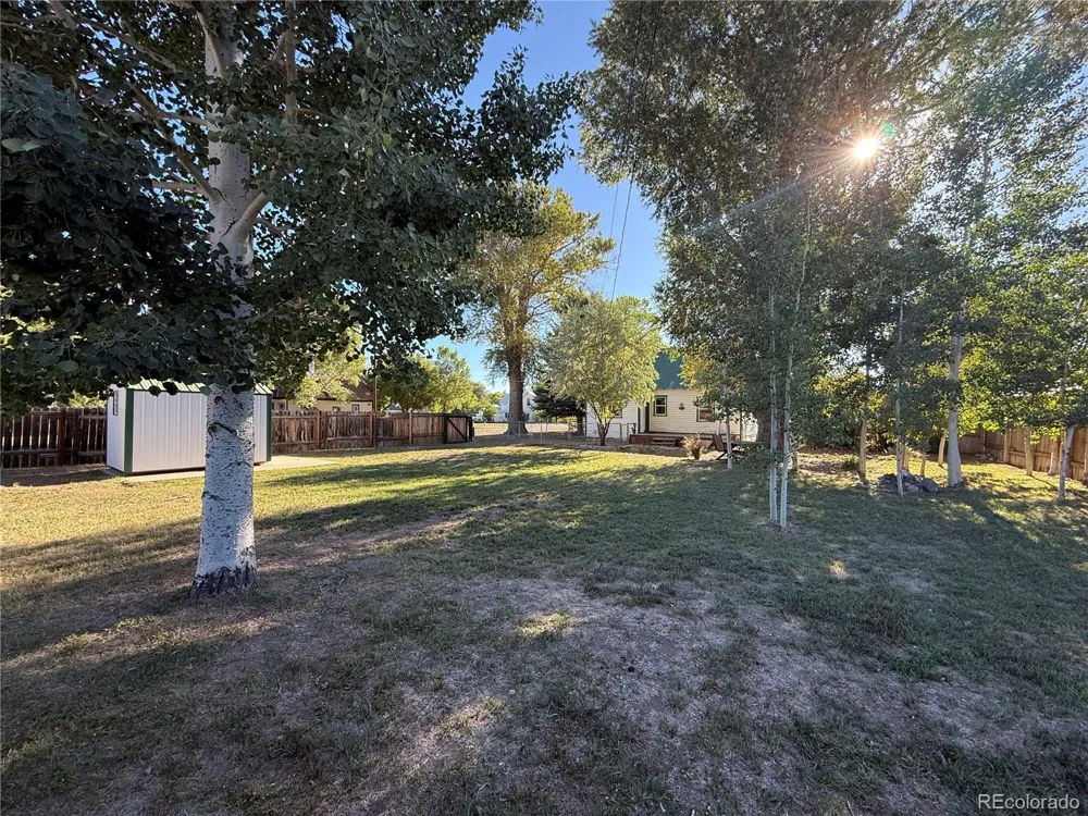 503 Poplar Street La Jara, CO 81140