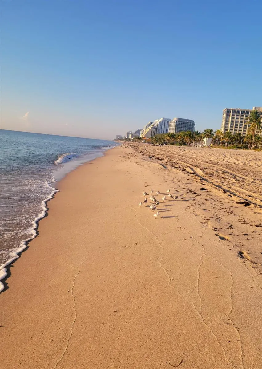 2715 Ocean Boulevard #16B Fort Lauderdale, FL 33308