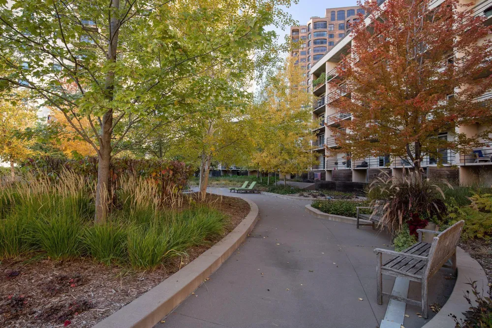 1200 Nicollet Mall #518 Minneapolis, MN 55403