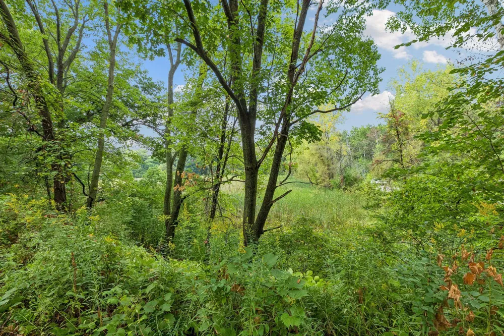 15 High Circle Way North Oaks, MN 55127