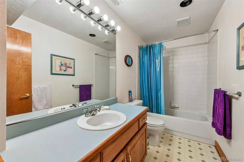 2547 E 124th Place Thornton, CO 80241