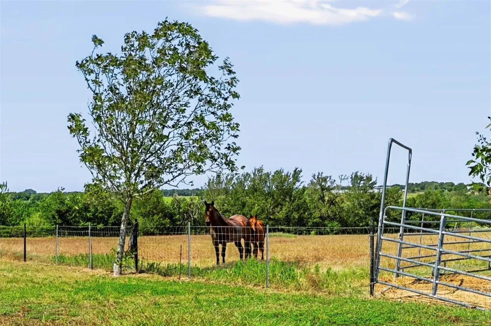 4800 Petter Rainosek Loop La Grange, TX 78945