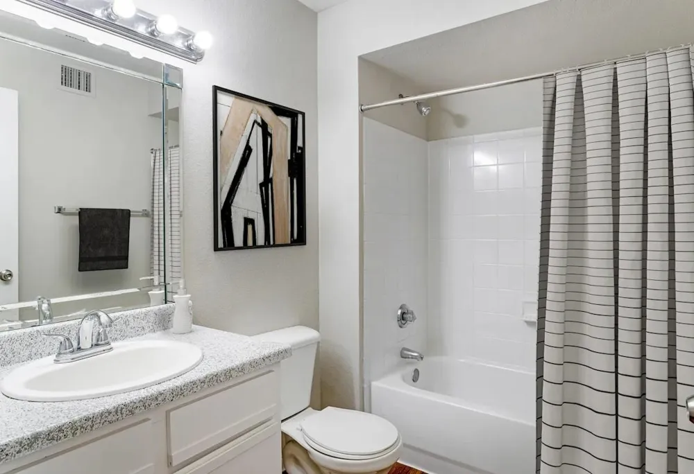 11355 Richmond Avenue #0821 South Houston, TX 77082