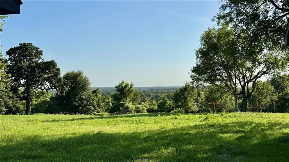3917 Harbor Bolton Rd - 2 Acres Franklin, TX 77856