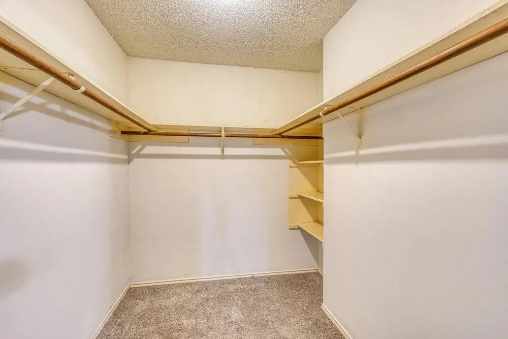 3202 Palm Desert Lane Missouri City, TX 77459