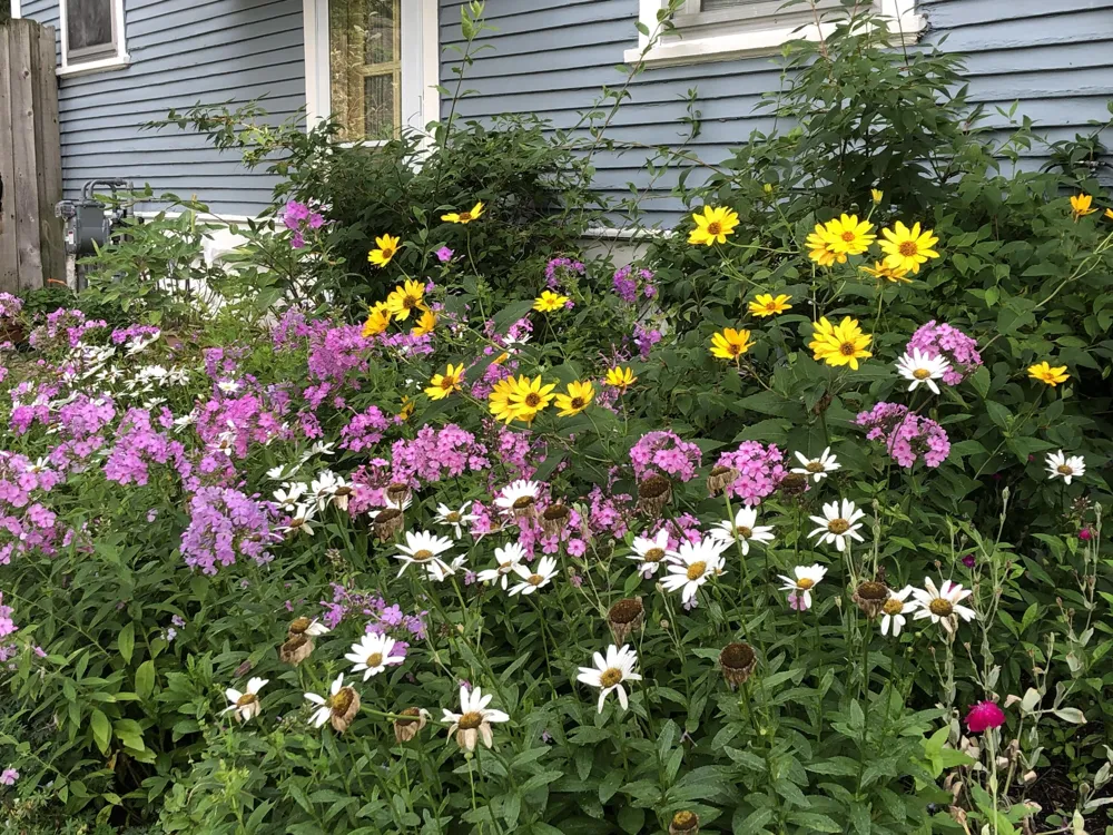 219 Carroll Avenue SE Grand Rapids, MI 49506