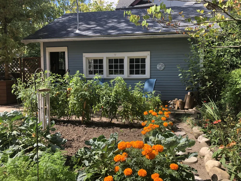 219 Carroll Avenue SE Grand Rapids, MI 49506