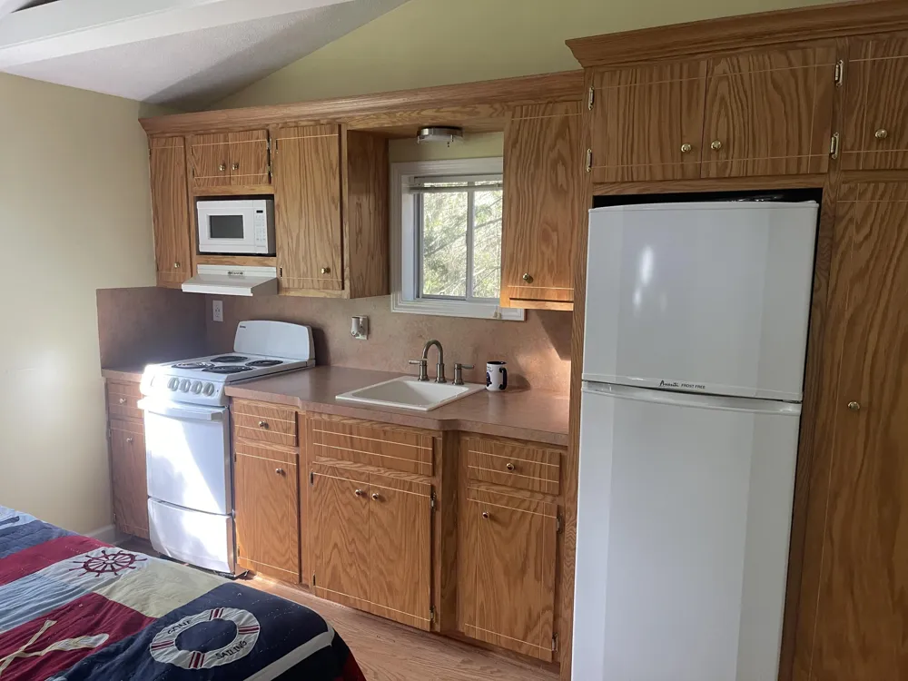 4629 S Croton Hardy Drive Newaygo, MI 49337