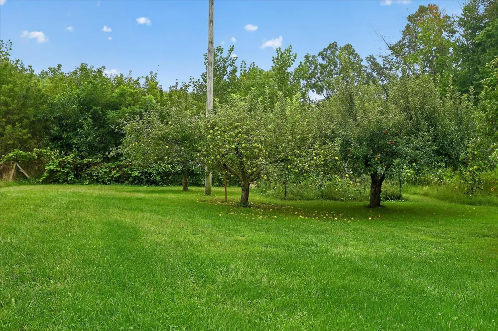 12915 Cassidy Road Bellevue, MI 49021