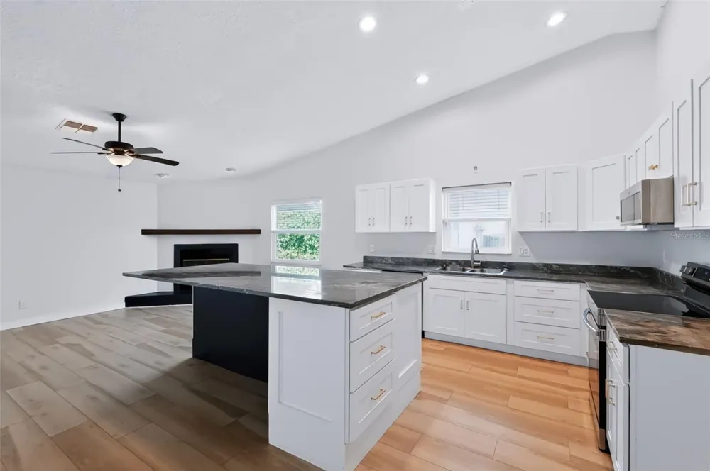 1035 ANCLOTE DRIVE Tarpon Springs, FL 34689
