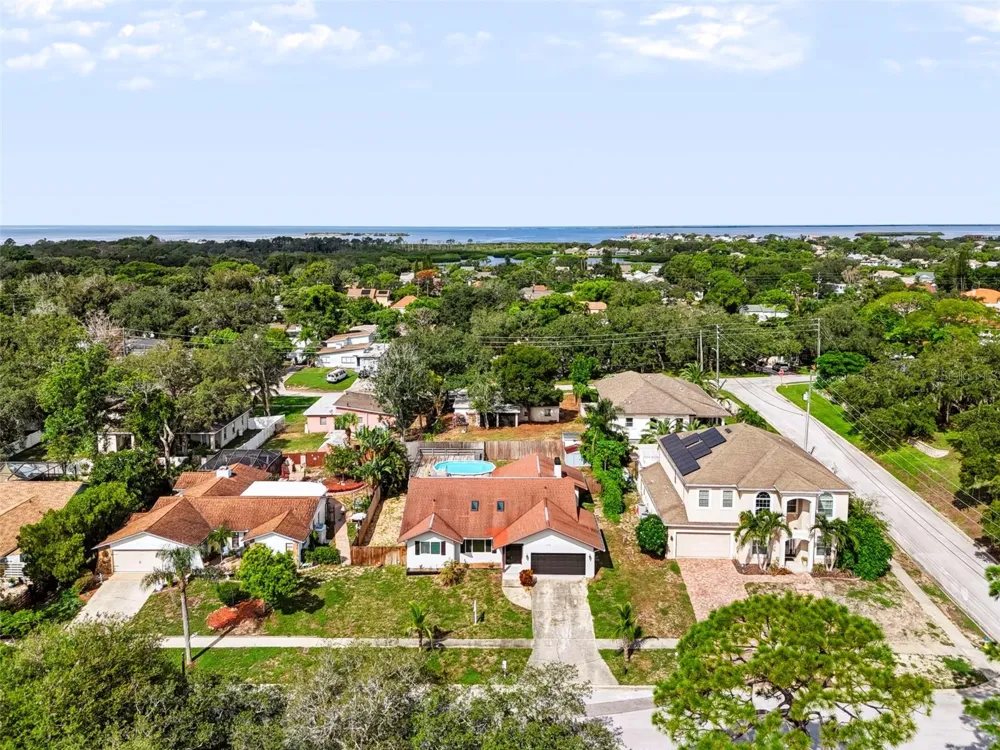 1035 ANCLOTE DRIVE Tarpon Springs, FL 34689