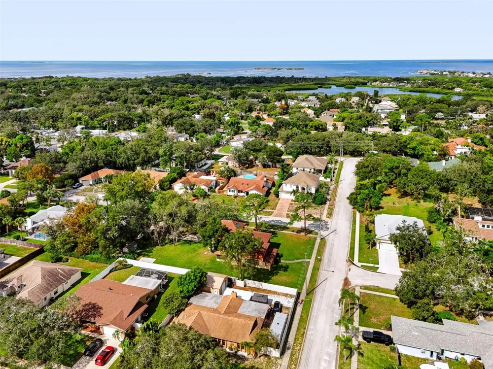 1035 ANCLOTE DRIVE Tarpon Springs, FL 34689