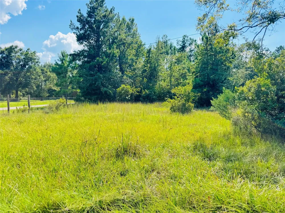2736 Whitetail Forest Road Kountze, TX 77625
